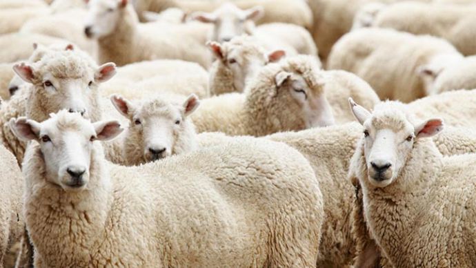 Kurban Bayramı ne zaman, Kurban Bayramı tatili kaç gün Kurban Bayramı ne zaman, Kurban Bayramı tatili kaç gün
