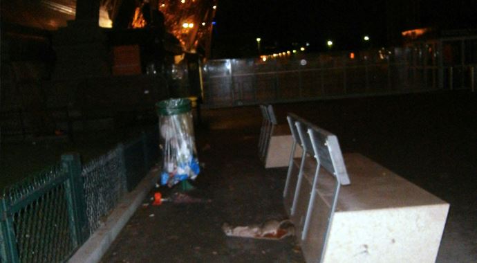 Eyfel'i geceleri fareler ziyaret ediyor