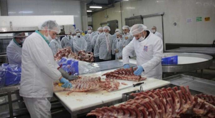 Sağlık Bakanlığı'ndan domuz eti açıklaması