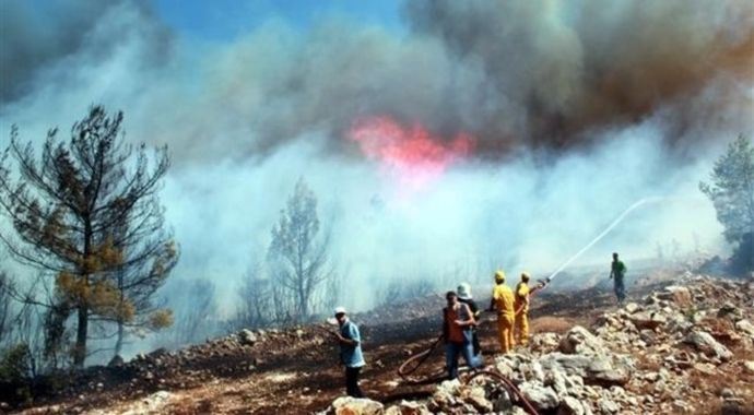 Attığı sigara izmariti ormanı kül etti. 