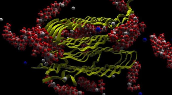 Alzheimer yapan proteini saptıyor Alzheimer yapan proteini saptıyor