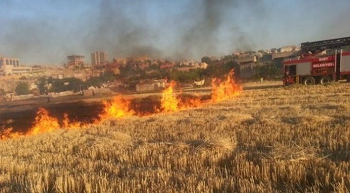 Çiftçilere 'anız yakmayın' uyarısı Çiftçilere 'anız yakmayın' uyarısı