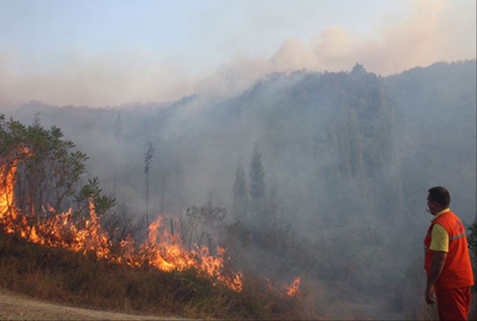 Sakarya'da korkutan yangın