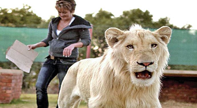 Evinde aslan besliyor