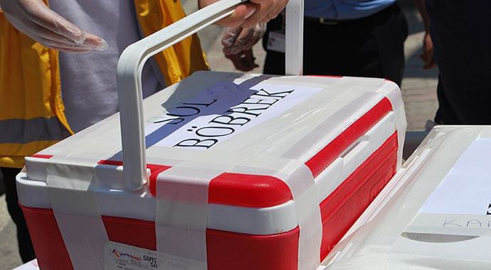 17 ilde eş zamanlı organ kaçakçılığı operasyonu
