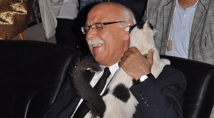 Sokak kedisi Nabi Avcı'nın omuzuna çıktı Sokak kedisi Nabi Avcı'nın omuzuna çıktı