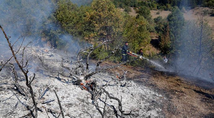 Bolu'da iki ayrı köyde aynı anda orman yangını Bolu'da iki ayrı köyde aynı anda orman yangını