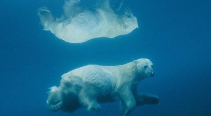 National Geographic 125. yılını kutluyor National Geographic 125. yılını kutluyor