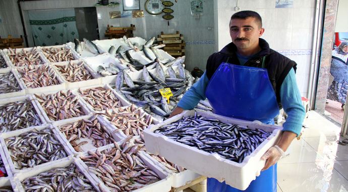 Palamut fiyatları cep yakıyor Palamut fiyatları cep yakıyor