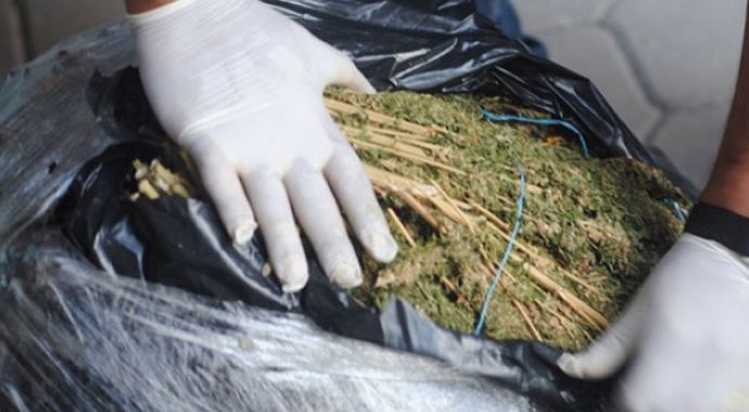 Kırşehir'de uyuşturucu operasyonu, 678 kilo esrar yakalandı Kırşehir'de uyuşturucu operasyonu, 678 kilo esrar yakalandı