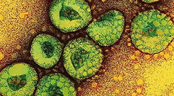 Corona virüsünden ölü sayısı 59'a yükseldi Corona virüsünden ölü sayısı 59'a yükseldi