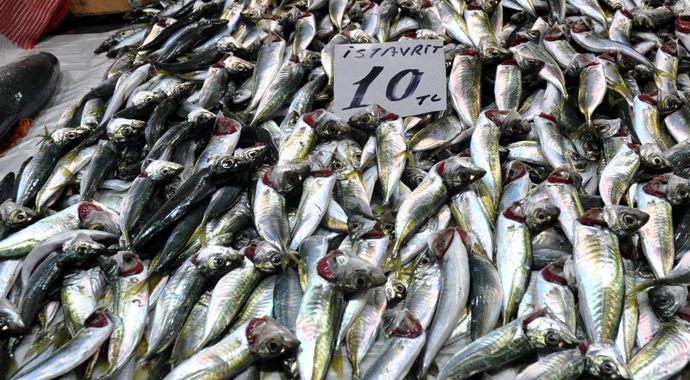Balık fiyatları 10 TL'ye yükseldi Balık fiyatları 10 TL'ye yükseldi