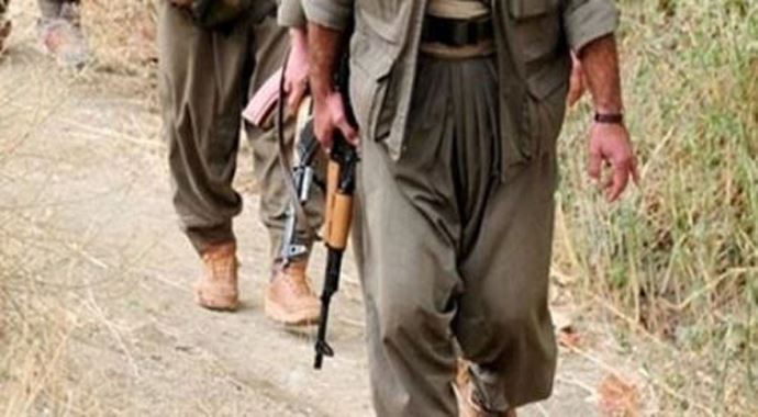 Hakkari'de 2 PKK'lı teslim oldu Hakkari'de 2 PKK'lı teslim oldu