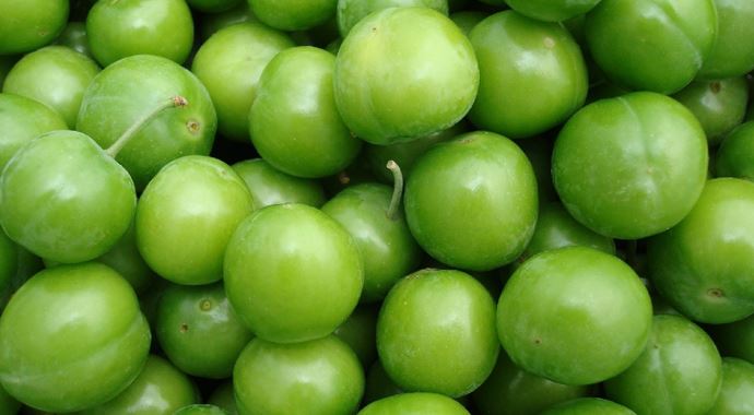 Yeşil eriğin gramı altına yaklaştı Yeşil eriğin gramı altına yaklaştı