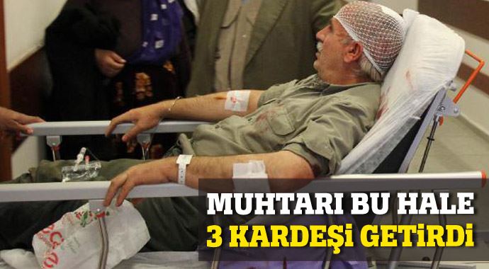 Muhtarı bu hale 3 kardeşi getirdi! Muhtarı bu hale 3 kardeşi getirdi!