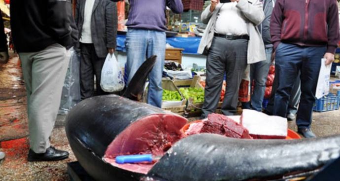 Görenler hayrete düştü! Tam 225 kilo Görenler hayrete düştü! Tam 225 kilo