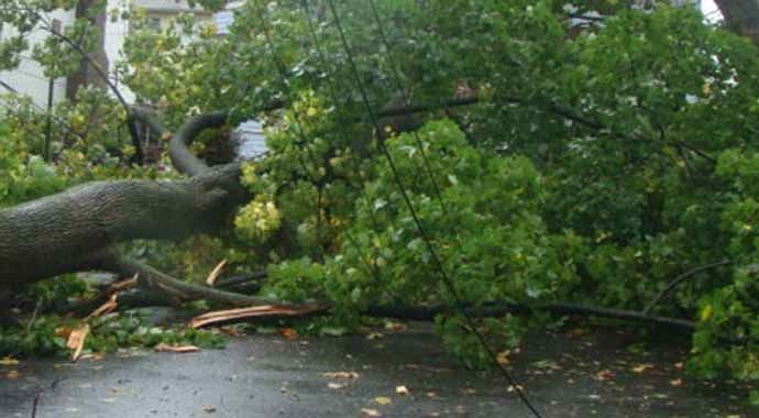 Hudhud kasırgasında 3 kişi hayatını kaybetti Hudhud kasırgasında 3 kişi hayatını kaybetti