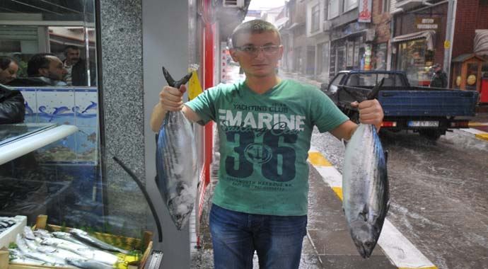 5 kilo ağırlığında, 70 TL'den satılıyor! 5 kilo ağırlığında, 70 TL'den satılıyor!