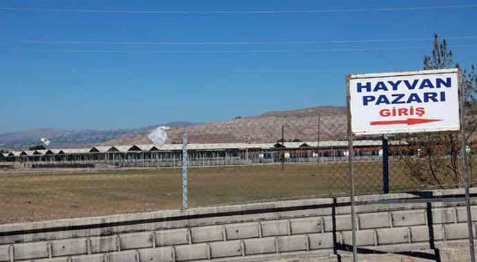 Bu hastalık hayvan pazarını kapattırdı 