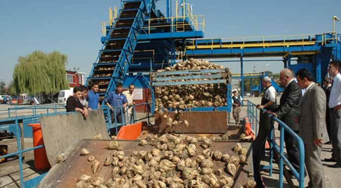 Kuraklık, Elazığ Şeker Fabrikası&#039;na yaradı