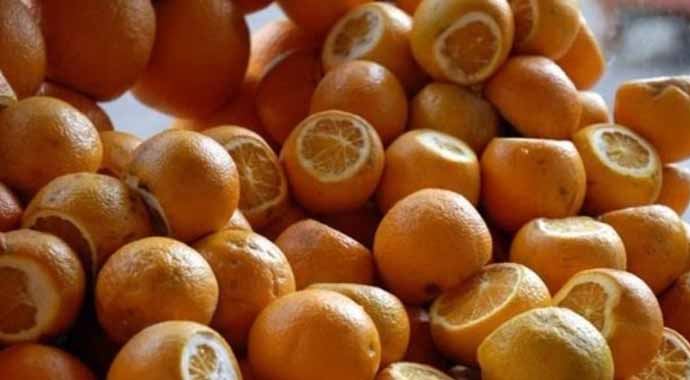 Şifa deposu: Narenciye