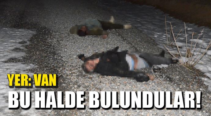 Van'da acı manzara 2 kişinin cesedi bu halde bulundu! Van'da acı manzara 2 kişinin cesedi bu halde bulundu!