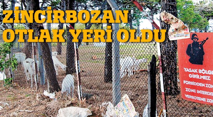 Zincirbozan otlak yeri oldu Zincirbozan otlak yeri oldu