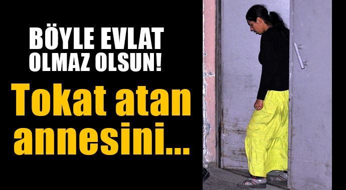 Tokat atan annesini bıçaklayarak öldürdü