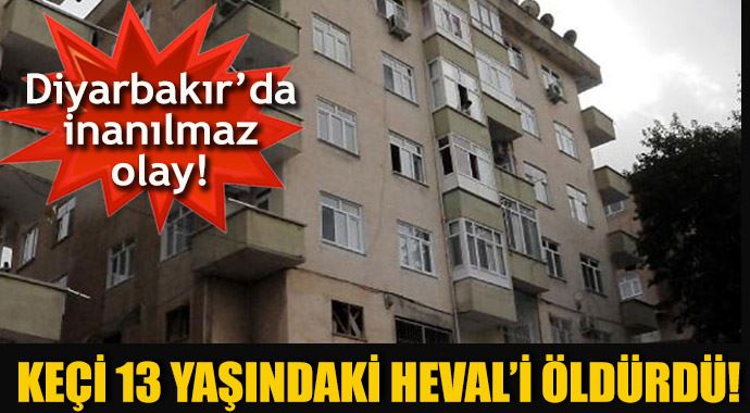 Çatıdan atlayan keçi 13 yaşındaki Heval&#039;in ölümüne neden oldu! 