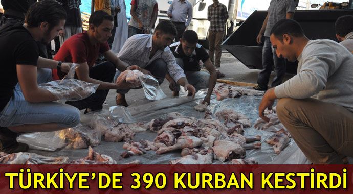 Suudi işadamı Türkiye'de 390 kurban kestirdi