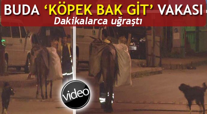 Bu da 'köpek bak git' vakası
