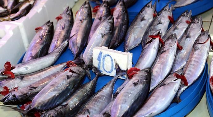 Kurbanlıklar balık fiyatlarını düşürdü Kurbanlıklar balık fiyatlarını düşürdü