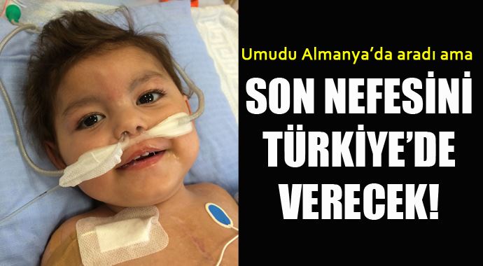 Minik Muhammet son nefesini Türkiye'de verecek! Minik Muhammet son nefesini Türkiye'de verecek!