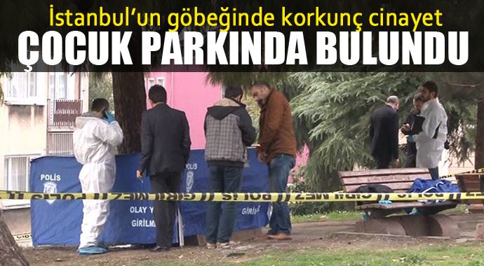 Fatih'te bir parkta başından vurulmuş ceset bulundu
