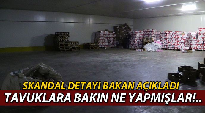 Tavukları kırmızıya boyayıp, et diye satmışlar! Tavukları kırmızıya boyayıp, et diye satmışlar!