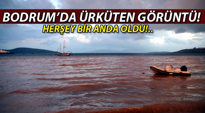 Bodrum&#039;da deniz bir anda kahverengi oldu