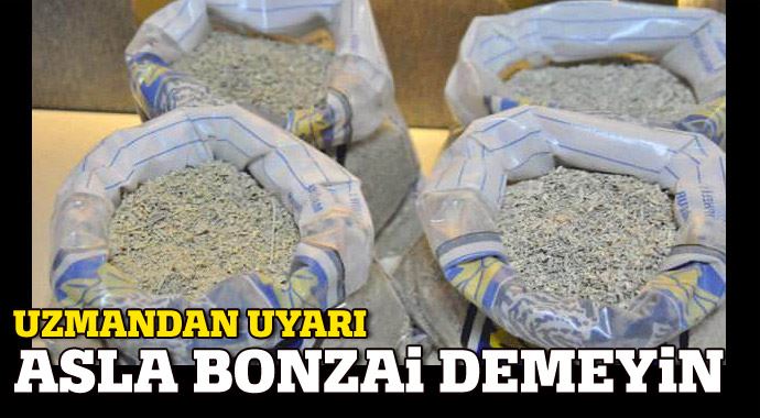 Bonzai'ye 'Bonzai' demeyin Bonzai'ye 'Bonzai' demeyin