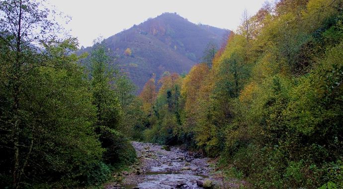 Karadeniz&#039;de renk cümbüşü