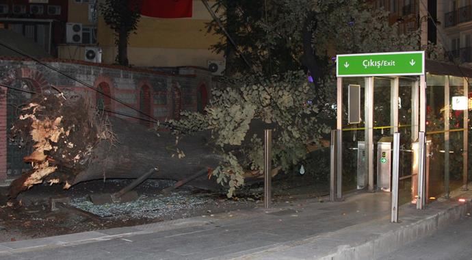 Tramvay yoluna ağaç devrildi: 3 yaralı
