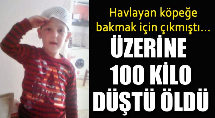 Havlayan köpeğe bakmak için çıkmıştı, feci şekilde can verdi Havlayan köpeğe bakmak için çıkmıştı, feci şekilde can verdi