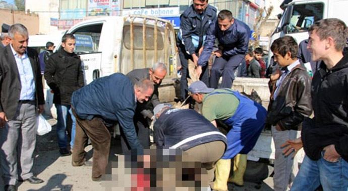 Başıboş gezen ineği sokak ortasında kestiler! 