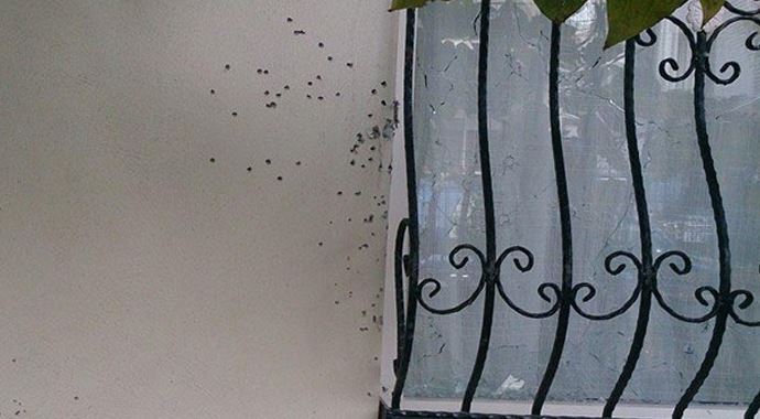 CHP'li başkanın evine silahlı saldırı CHP'li başkanın evine silahlı saldırı