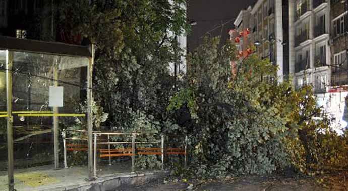 Tramvay seferleri yeniden başladı Tramvay seferleri yeniden başladı