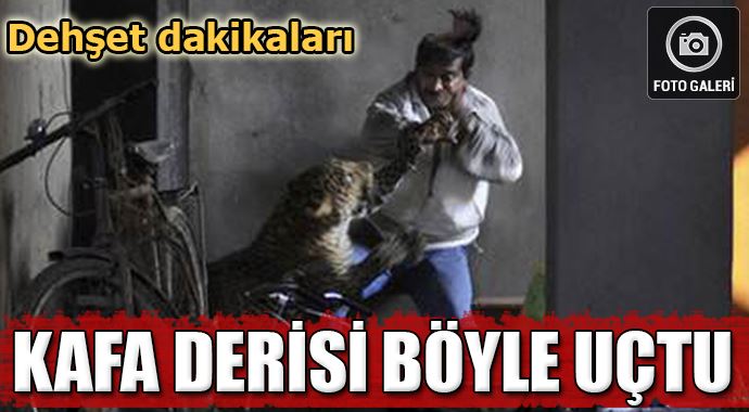 Leopar vahşeti! Kafa derisi böyle uçtu