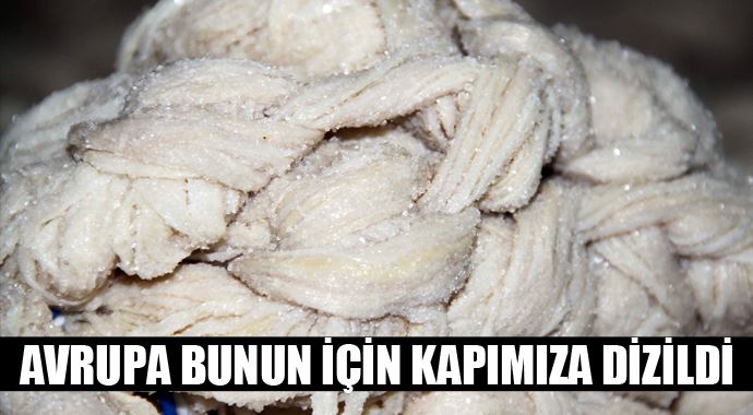 Avrupa bunun için kapımıza dizildi