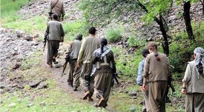 Şırnak'ta 8 PKK'lı teslim oldu Şırnak'ta 8 PKK'lı teslim oldu