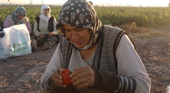 Meclis tarım işçileri için harekete geçti Meclis tarım işçileri için harekete geçti