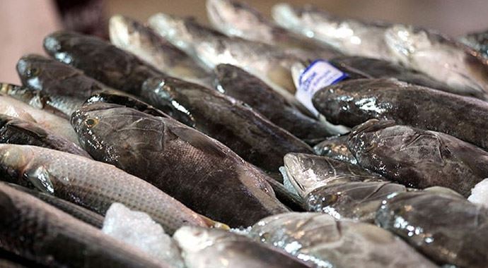 Balık fiyatları yüzleri güldürdü Balık fiyatları yüzleri güldürdü