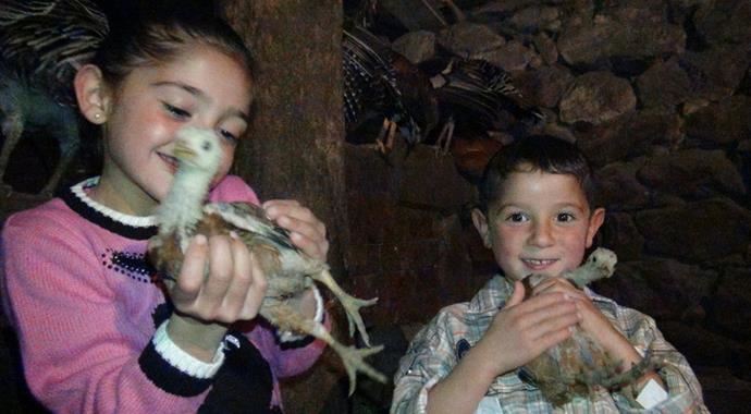 Horoz sesine hasret köyler Horoz sesine hasret köyler
