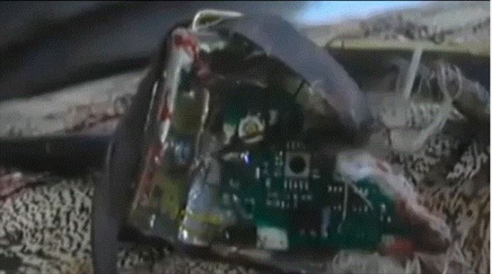 Taliban'dan bombalı kuş tuzağı Taliban'dan bombalı kuş tuzağı